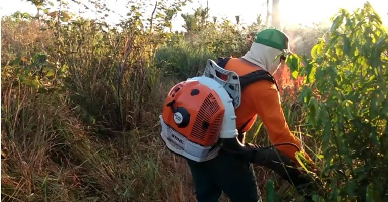 Ação de prevenção contra incêndios realizada no Parque Estadual do Cantão