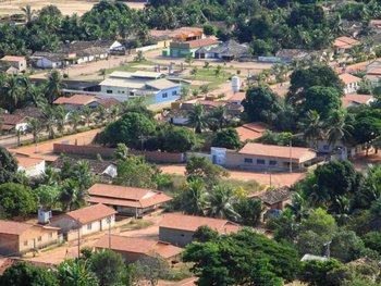 Lizarda do Tocantins 