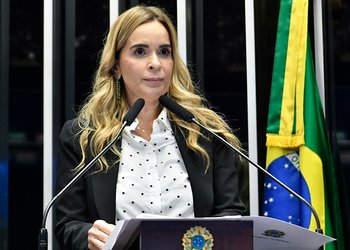 O projeto, chamado de Lei Henry Borel, foi aprovado no Senado