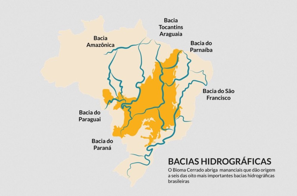Ilustração Carolina Guyot - Ipam)</em></p>
<p>Além disso, fornece cerca de 70% da água do Rio São Francisco e 47% da água do Rio Paraná, que abastece a hidrelétrica de Itaipu. Suas águas são importantes ainda para Bolívia, Paraguai, Argentina e Uruguai. Essas informações são do estudo publicado pela revista científica <em>Sustainability</em> que apontou os riscos que o desmatamento do bioma pode causar para a segurança hídrica e energética do país.  </p>
<p><span><strong>Menos água</strong></span></p>
<p>Um dos pesquisadores do estudo, o doutor em Ciências Florestais Yuri Salmona, explicou à <em>Agência Brasil</em> que as longas raízes das árvores típicas do Cerrado podem chegar a 15 metros de profundidade e fazem o bioma ser conhecido como “floresta invertida”. Essas raízes são responsáveis por levar a água das chuvas até o fundo do solo que, durante o período seco, vai liberando novamente a água.  </p>
<p>[image,143691] <em>(Ilustração Carolina Guyot - Ipam)</em></p>
<p>“Essa água vai se acumulando nesse subsolo ou escorrendo entre os rios. Ela vai abastecer o Paraná, o Jequitinhonha, o Araguaia, o Tocantins, entre outros rios. A quebra dessa dinâmica proporcionada pelo desmatamento, que interfere na capacidade de infiltrar essa água, faz com que a água escorra superficialmente, causando erosão, com excesso de vazão nas chuvas e escassez na seca”, explicou o diretor-executivo do Instituto Cerrados. </p>
<p>Yuri alertou que a situação se agrava com o consumo de água para irrigação do agronegócio durante o período da seca. “Ele [agricultor] está inviabilizando o futuro do próprio negócio dele, porque a gente precisa do Cerrado em pé para continuar produzindo a água”, destacou.  </p>
<p>O estudo analisou o comportamento de 81 bacias hidrográficas do Cerrado, e calculou que essas bacias perderam, em média, 15,4% da vazão dos rios entre 1985 e 2022. Para 2050, a previsão da pesquisa é de que a redução na vazão das águas dessas bacias chegue a 34% do que já foi um dia, “mesmo com diminuição do desmatamento”.  </p>
<p><strong>Exportação de água</strong></p>
<p>