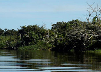 Foto: Divulgação Agência Brasil