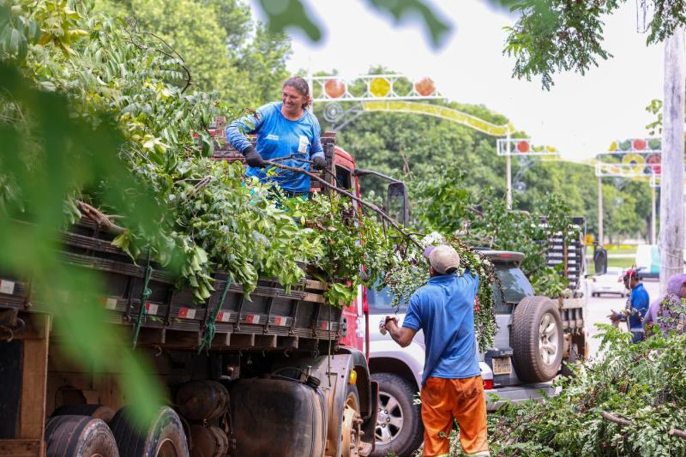 Foto: Regiane Rocha/Secom Palmas)</em></p>
<p>[image,145865] <em>(Foto: Regiane Rocha/Secom Palmas