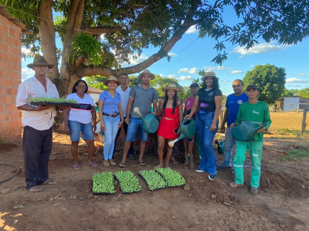 Secretária da Agricultura, Marivalda Glória, na entrega de mudas. 
