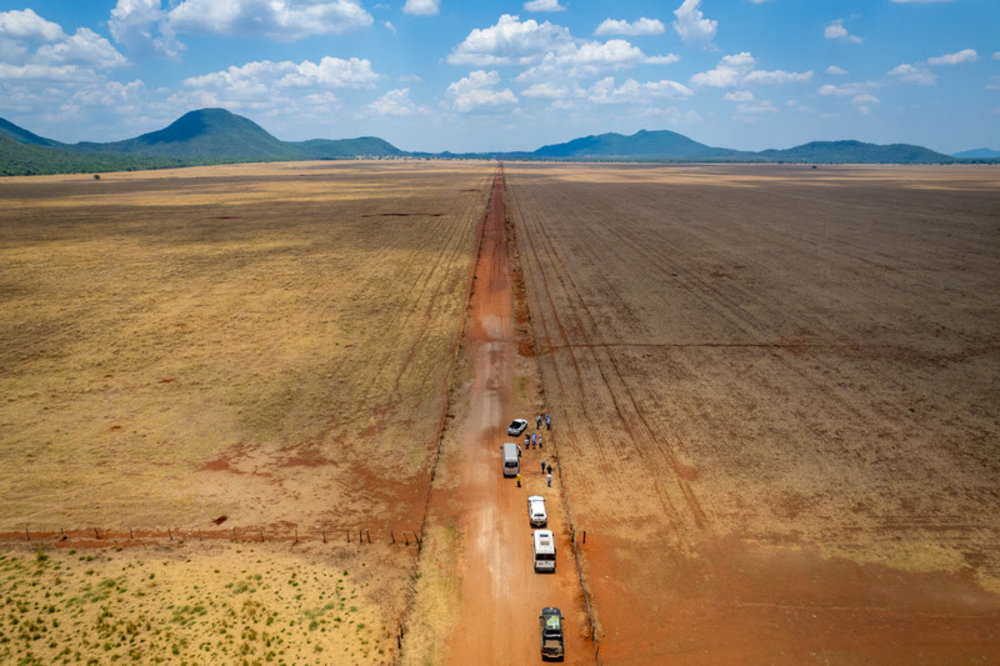 O Cerrado perdeu cerca de 1 milhão de hectares de vegetação nativa para o desmatamento em 2023  