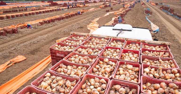 |Wenderson Araujo/Trilux-CNA