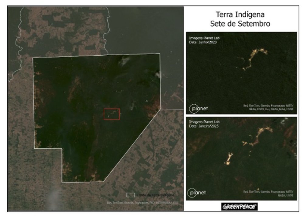Mapa comparativo da área de garimpo entre junho de 2023 e janeiro de 2025  - Fonte: Greenpeace Brasil