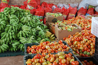 |Marcos Filho Sandes / Secom Araguaína