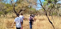 |Divulgação Associação Onça D'Água