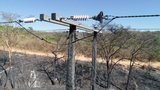 |Divulgação Energisa/TO