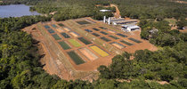 |Jefferson Christofoletti/Embrapa 