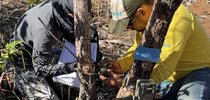 |Divulgação Secom Palmas 