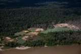 |Divulgação/InfoAmazonia