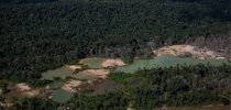 |Divulgação/InfoAmazonia