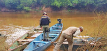 |Divulgação Naturatins 