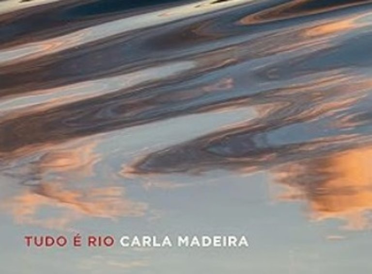 Tudo é Rio, de Carla Madeira.