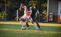 | Thiago Wahlbrinck/SecomTO