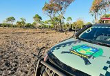 Desmatamento em propriedade rural de Formoso do Araguaia flagrado pela Polícia Militar Ambiental |Divulgação/BPMA