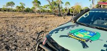 Desmatamento em propriedade rural de Formoso do Araguaia flagrado pela Polícia Militar Ambiental |Divulgação/BPMA