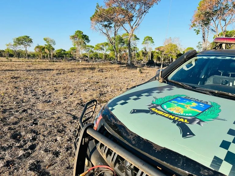 Desmatamento em propriedade rural de Formoso do Araguaia flagrado pela Polícia Militar Ambiental 