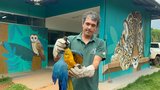 | Guarda Ambiental/Secom Palmas 
