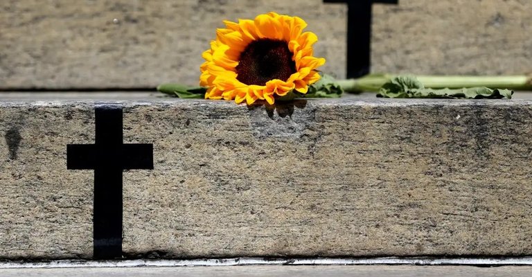 De acordo com o painel de estatísticas sobre crimes contra a mulher, da SSP/TO, foram 66 feminicídios registrados este ano no estado até sexta-feira (26/12).|Tânia Rêgo/Agência Brasil