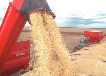 |Madson Maranhão/SecomTO