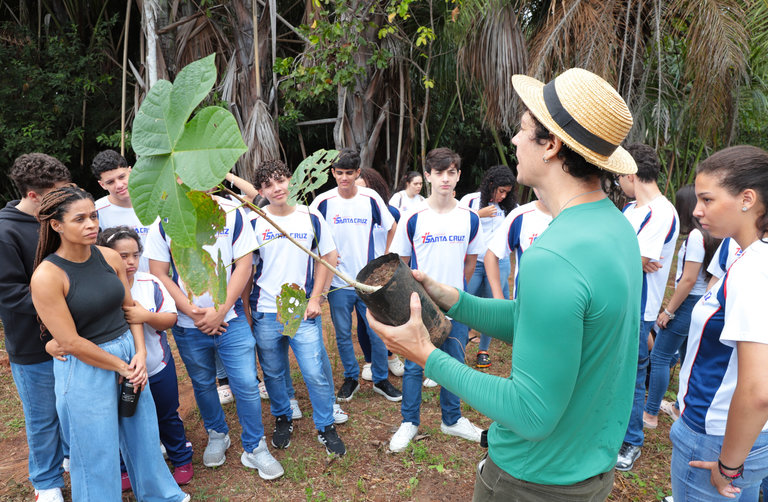 O mandato dos membros é voluntário, não remunerado e tem duração de dois anos, podendo ser reconduzido ao cargo por mais dois anos.