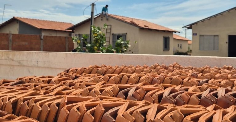 |Flora Pereira/Secom Palmas 