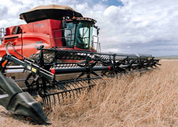 |Keven Lopes/Adapec-TO