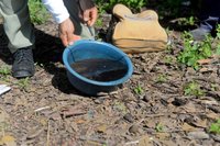 |Raíza Milhomem/Secom Palmas 