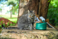 |Thiago Santos/Secom Araguaína