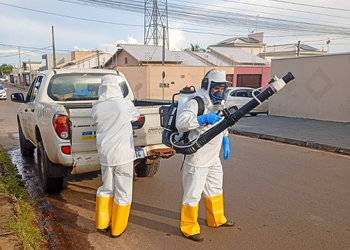 |José Nilson/CCZ Araguaína