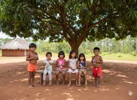 |Divulgação MP/TO - (IA)