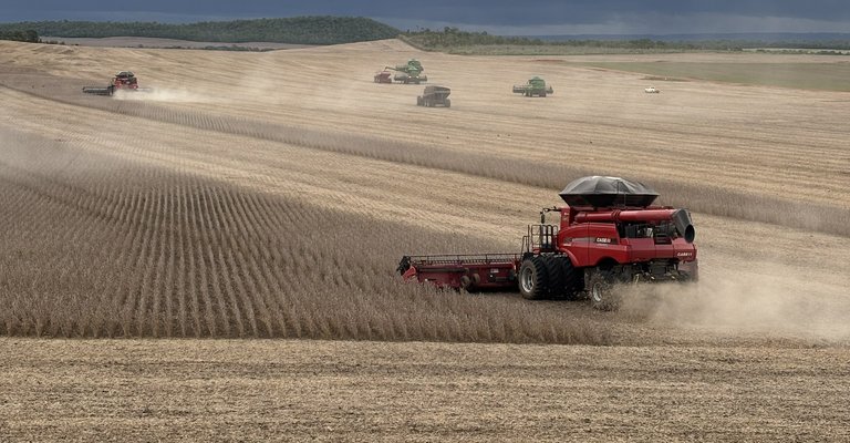 |Divulgação Aprosoja/TO