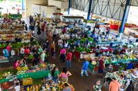 | Regiane Rocha/Secom Palmas 