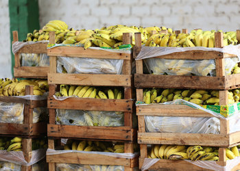 |Marcos Filho Sandes/Secom Araguaína