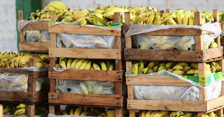 |Marcos Filho Sandes/Secom Araguaína