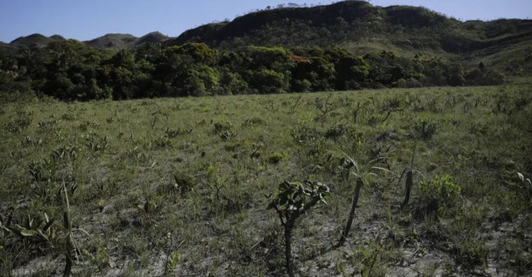 |Joédson Alves/Agência Brasil