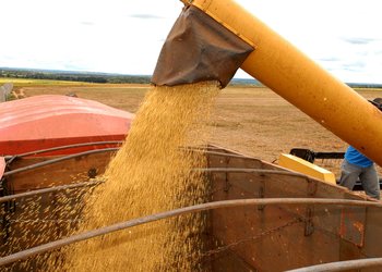 |Adilvan Nogueira/Secom-TO