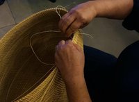 |Divulgação Sebrae/TO