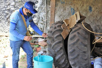 |Marcos Sandes Filho/Secom Araguaína
