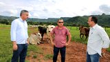 Visita técnica à Fazenda Brasil Novo, do produtor Célio Mascarenhas Alencar (C), ocorreu nessa quinta-feira|Aldemar Ribeiro