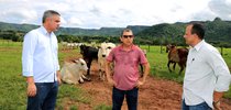 Visita técnica à Fazenda Brasil Novo, do produtor Célio Mascarenhas Alencar (C), ocorreu nessa quinta-feira|Aldemar Ribeiro