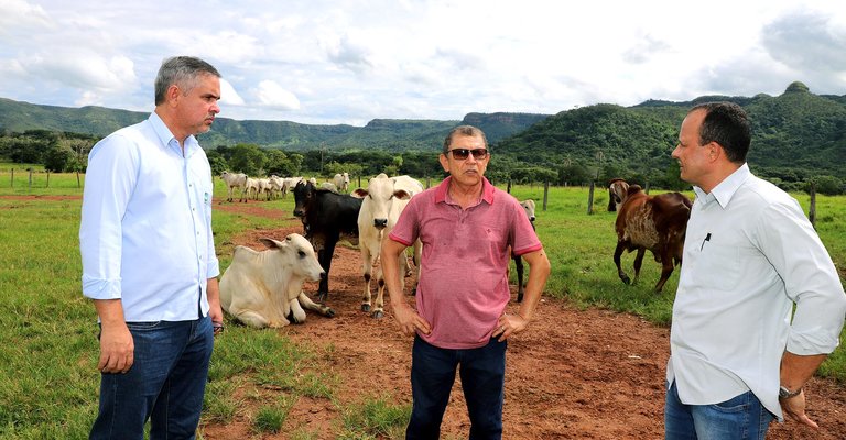Visita técnica à Fazenda Brasil Novo, do produtor Célio Mascarenhas Alencar (C), ocorreu nessa quinta-feira