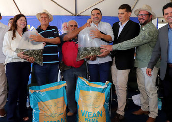 80 mil alevinos foram entregues a 60 agricultores familiares de Palmas e região