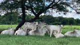 |Divulgação Kiw/AI