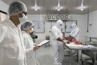 |Divulgação Secom Palmas 