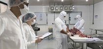 |Divulgação Secom Palmas 
