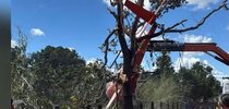 |Reprodução/Redes sociais
