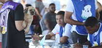 |Edu Fortes/Secom Palmas 